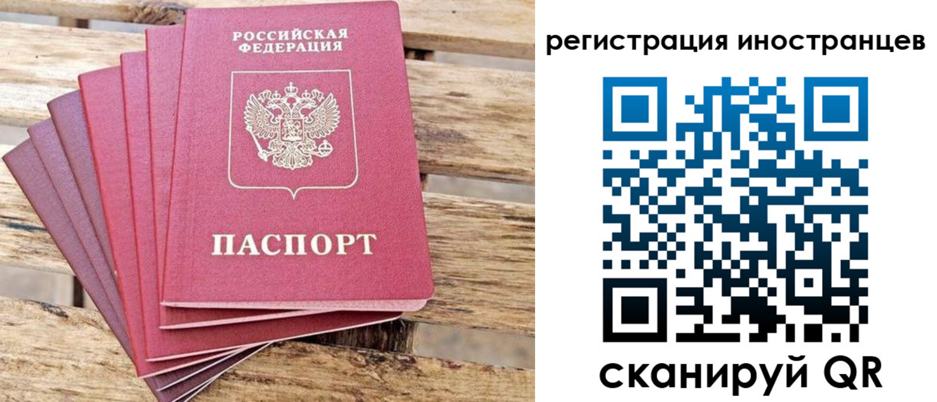 временная прописка в Мытищах